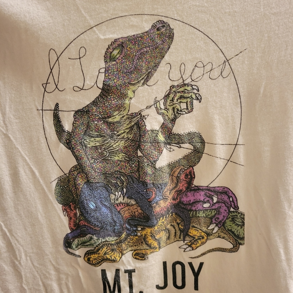 Mt Joy tee